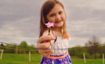 A felicidade nas pequenas coisas