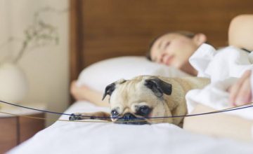 Dicas para você dormir melhor